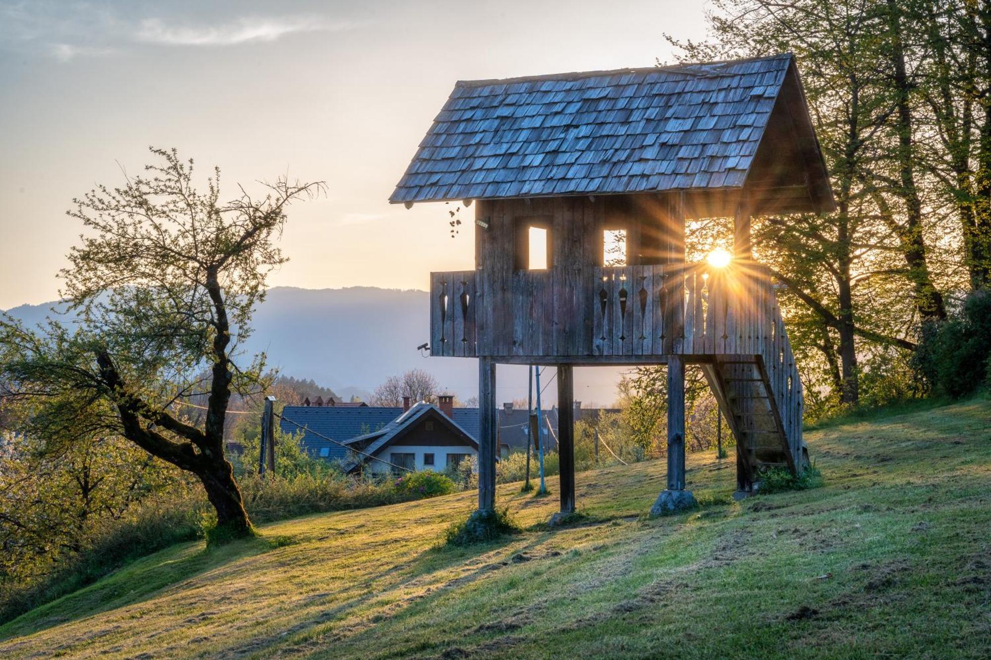 Stara Soncna Hisa Apartment Radovljica Bagian luar foto